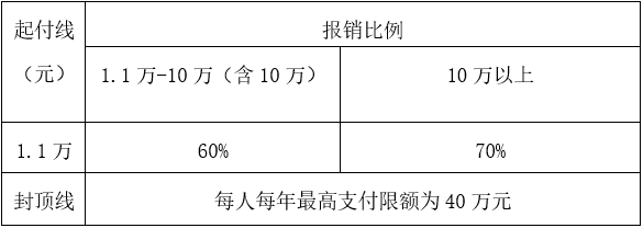 大病保险报销标准比例表.png