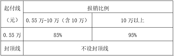 农村贫困人口大病保险报销标准比例表.png