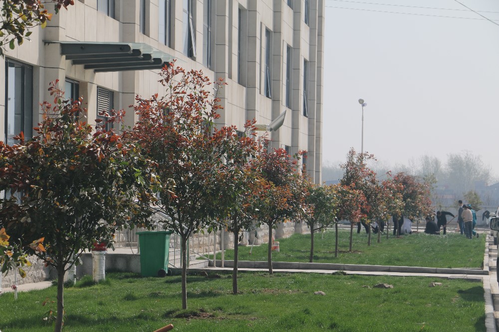 IMG_7635.JPG